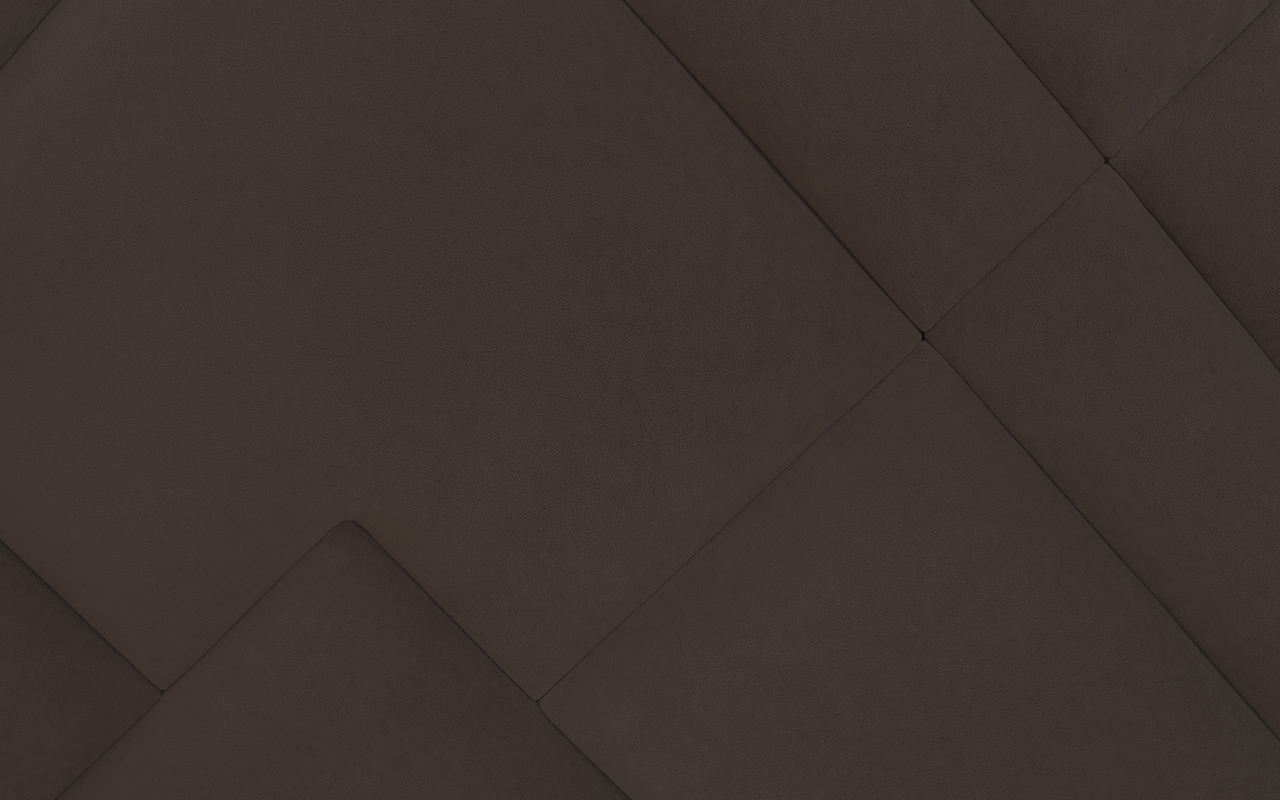 Flepers Lion Сидней фото 15