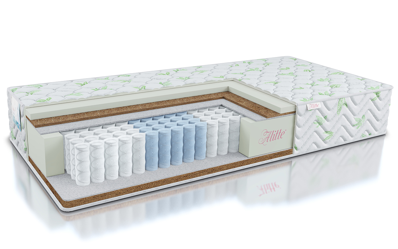 Alitte Classicus Rembrandt TFK MH-25-K